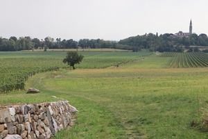 Visita guidata nelle terre di Cora Slocomb di Brazzà